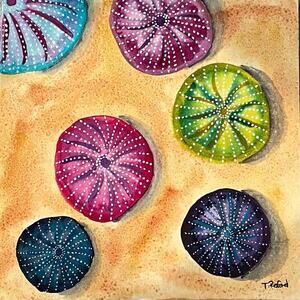Hand painted watercolor painting sea urchins on a beach 8x8